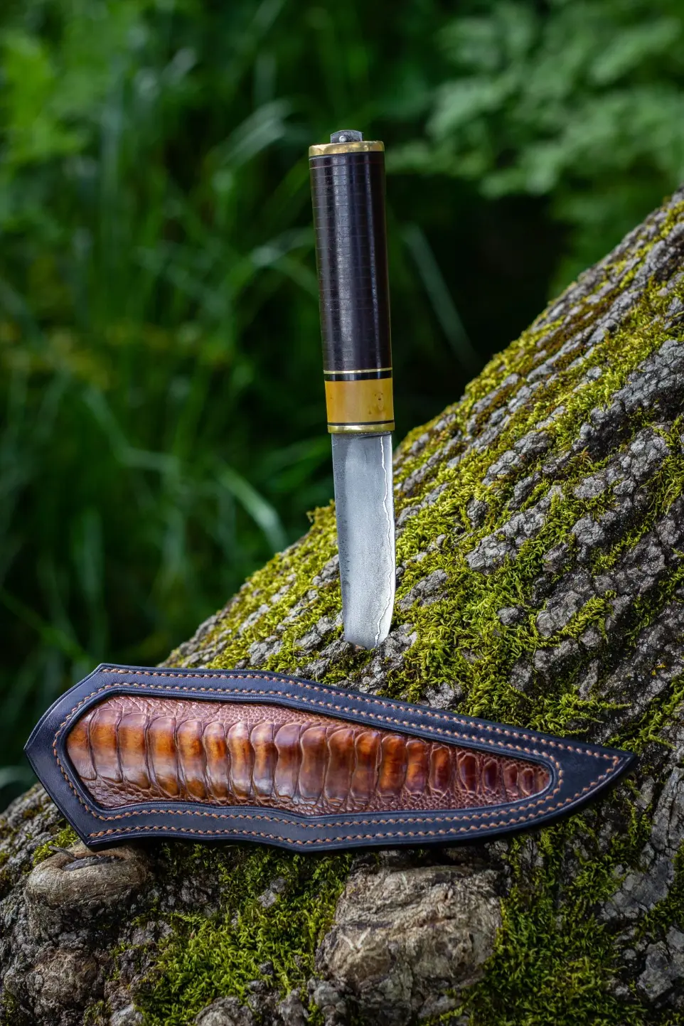 Etuis de couteau tibia d'autruche